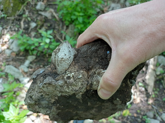 Mineraly Karpat S in Morshin, Ukraine